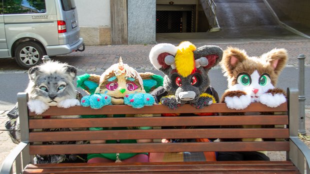 Viel Fursuiter schauen süß hinter einer Bank hervor.